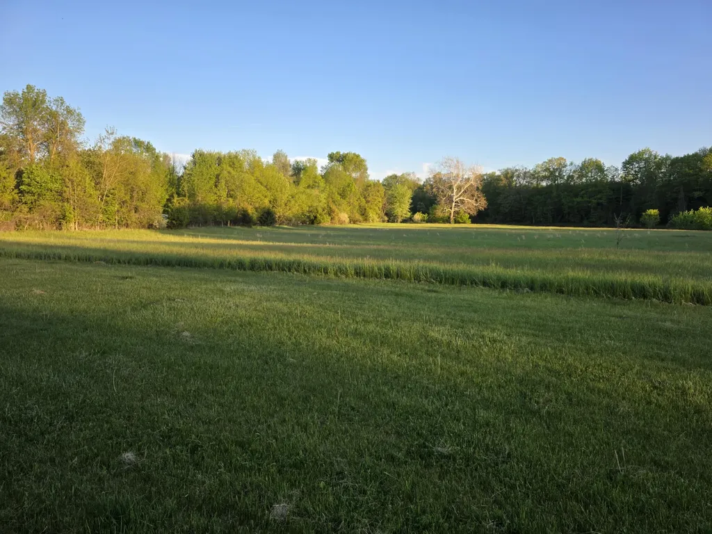 2021 W Pine River Road Porter Township MI 48615