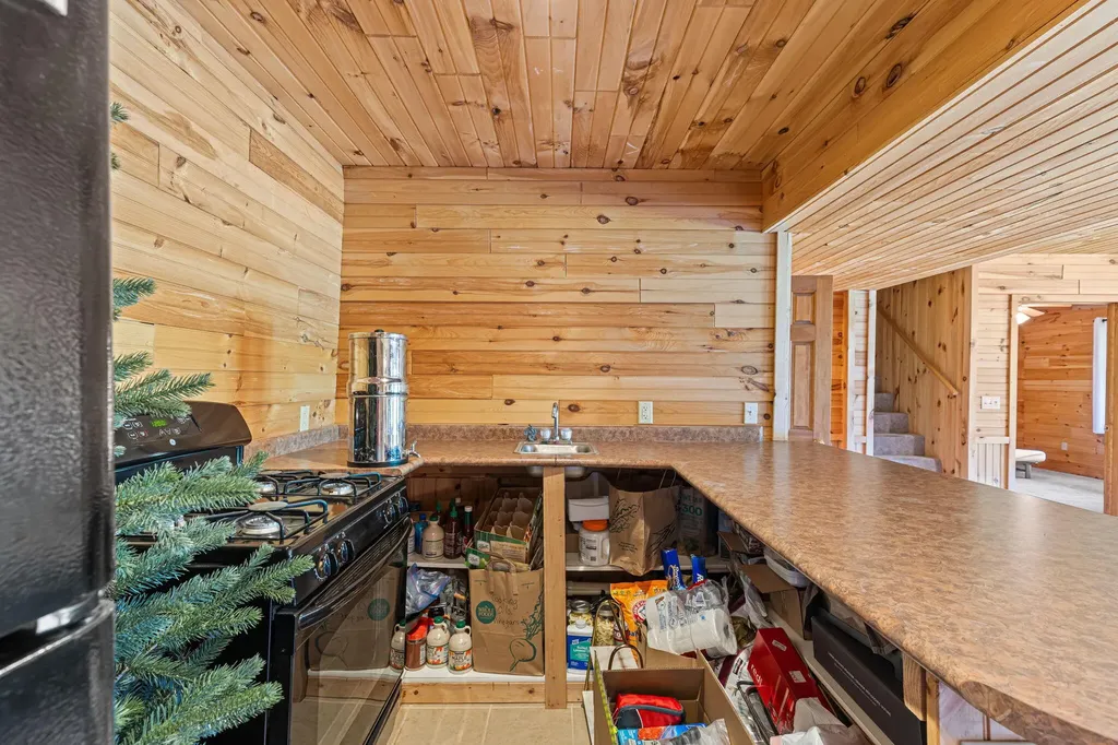 15902 Penesal Road Rose Lake Township MI 49655