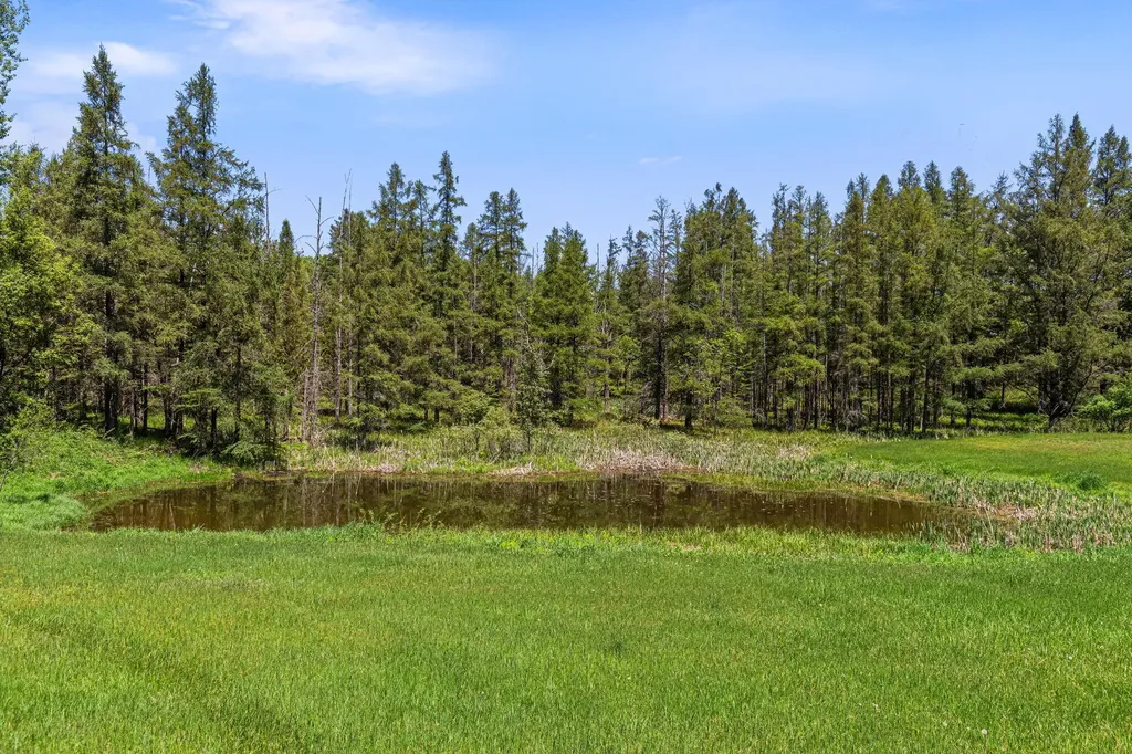 15902 Penesal Road Rose Lake Township MI 49655