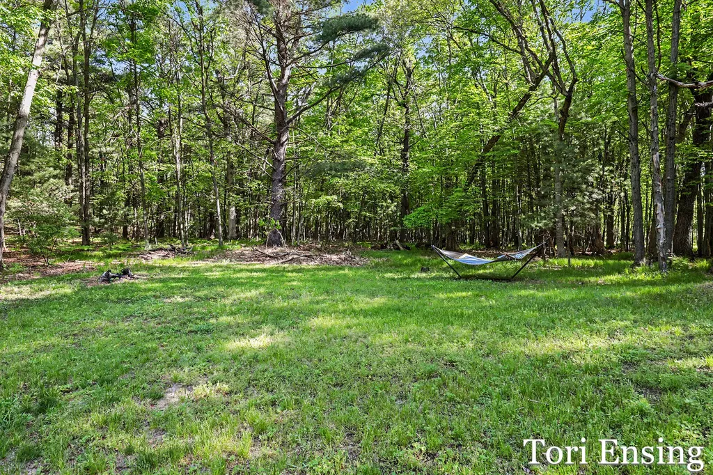 10688 Velma Drive Eureka Township MI 48838
