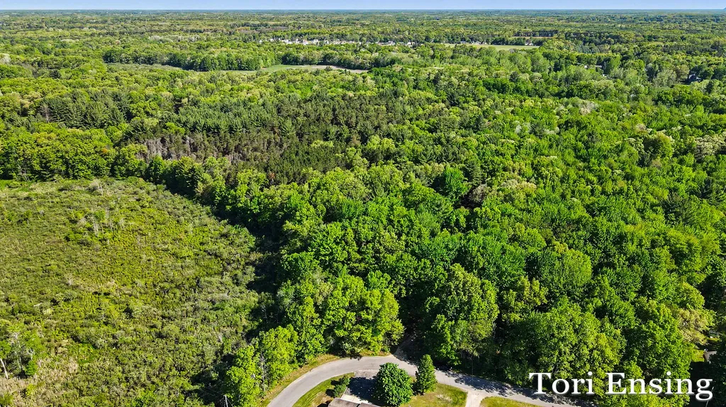 10688 Velma Drive Eureka Township MI 48838