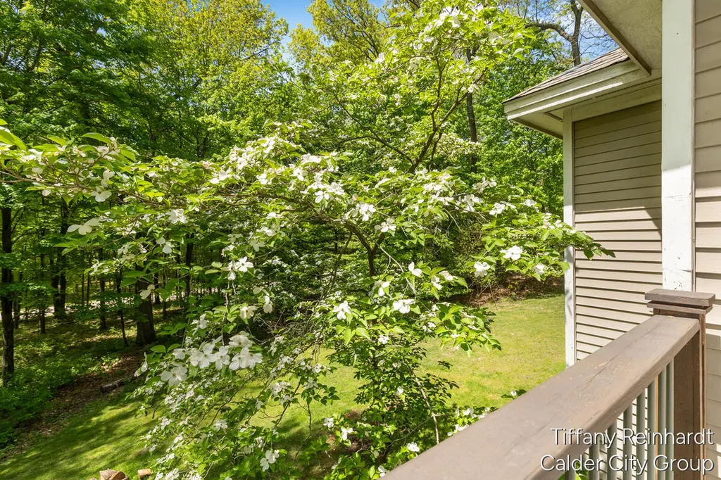2760 Tyler Trail SE Lowell Charter Township MI 49331