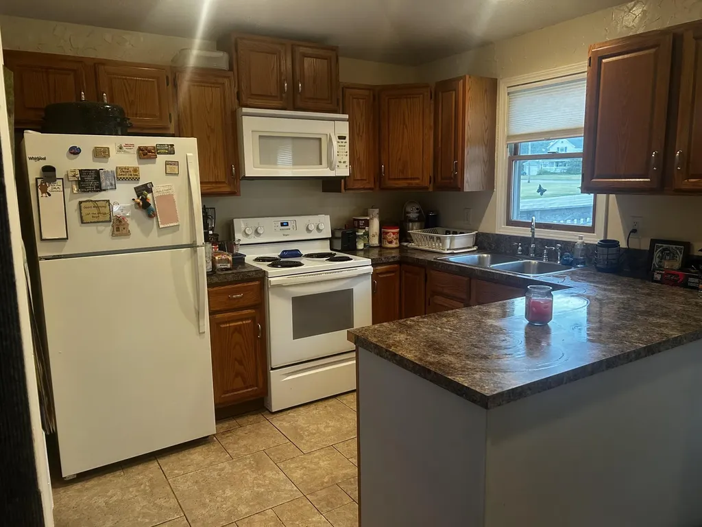 13636 S Mason Drive Ashland Township MI 49327