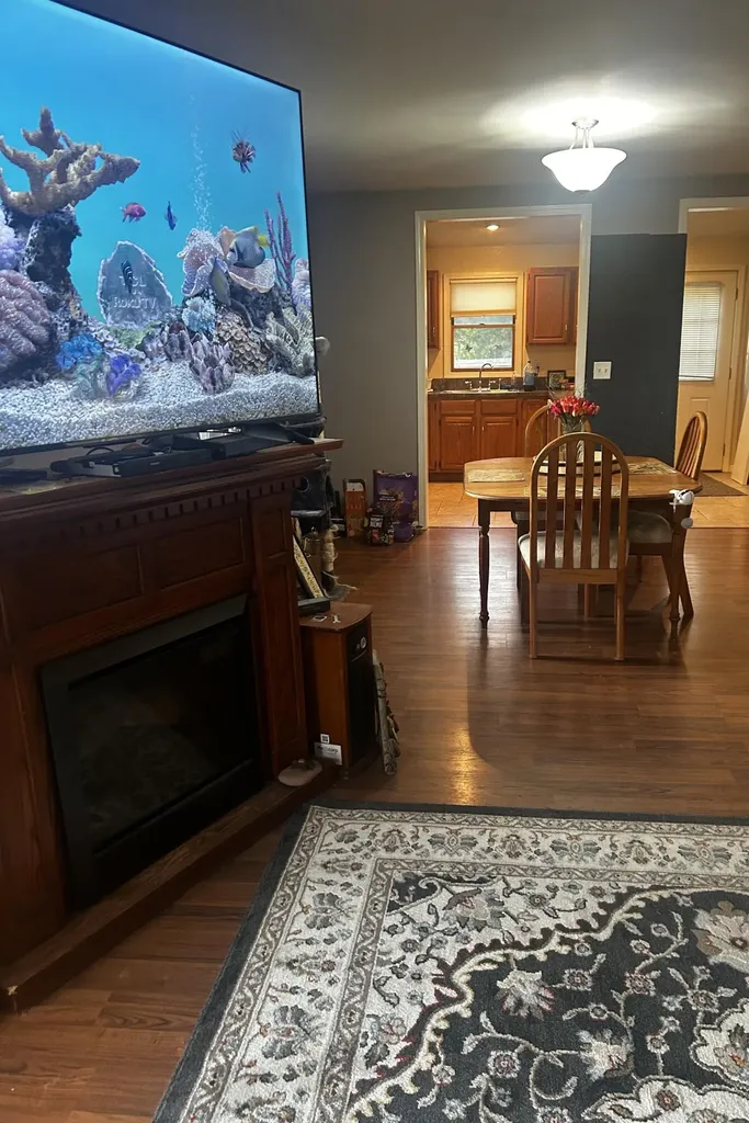 13636 S Mason Drive Ashland Township MI 49327