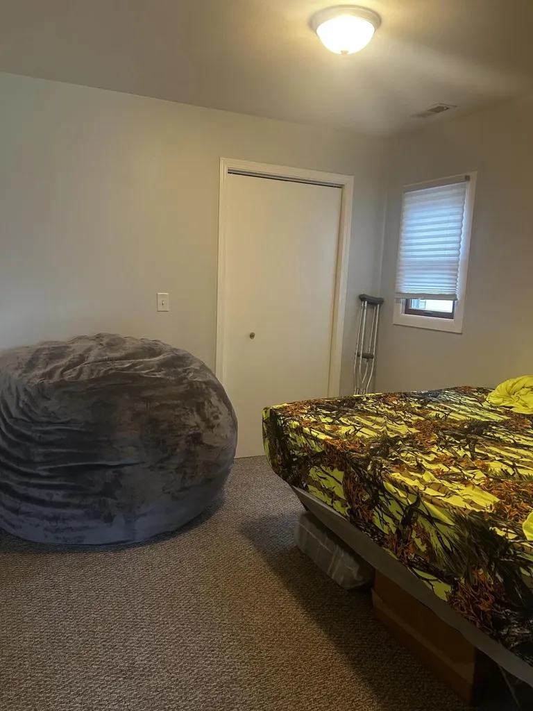 13636 S Mason Drive Ashland Township MI 49327