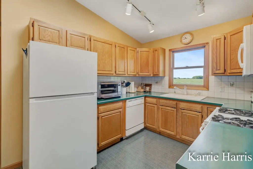 6048 S Cedar Lake Road SE Bushnell Township MI 48884