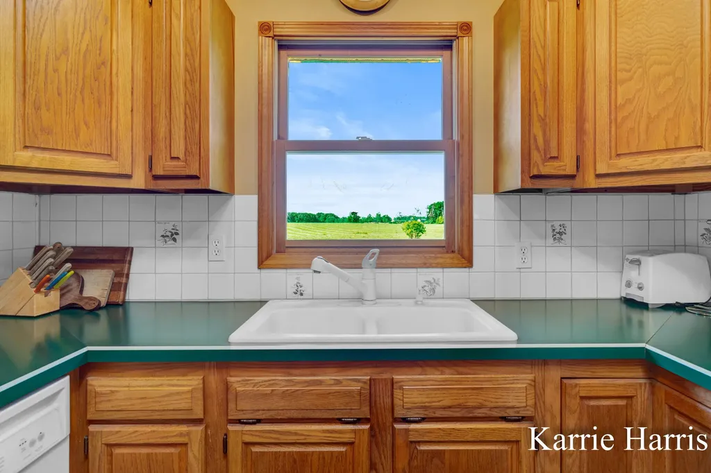6048 S Cedar Lake Road SE Bushnell Township MI 48884
