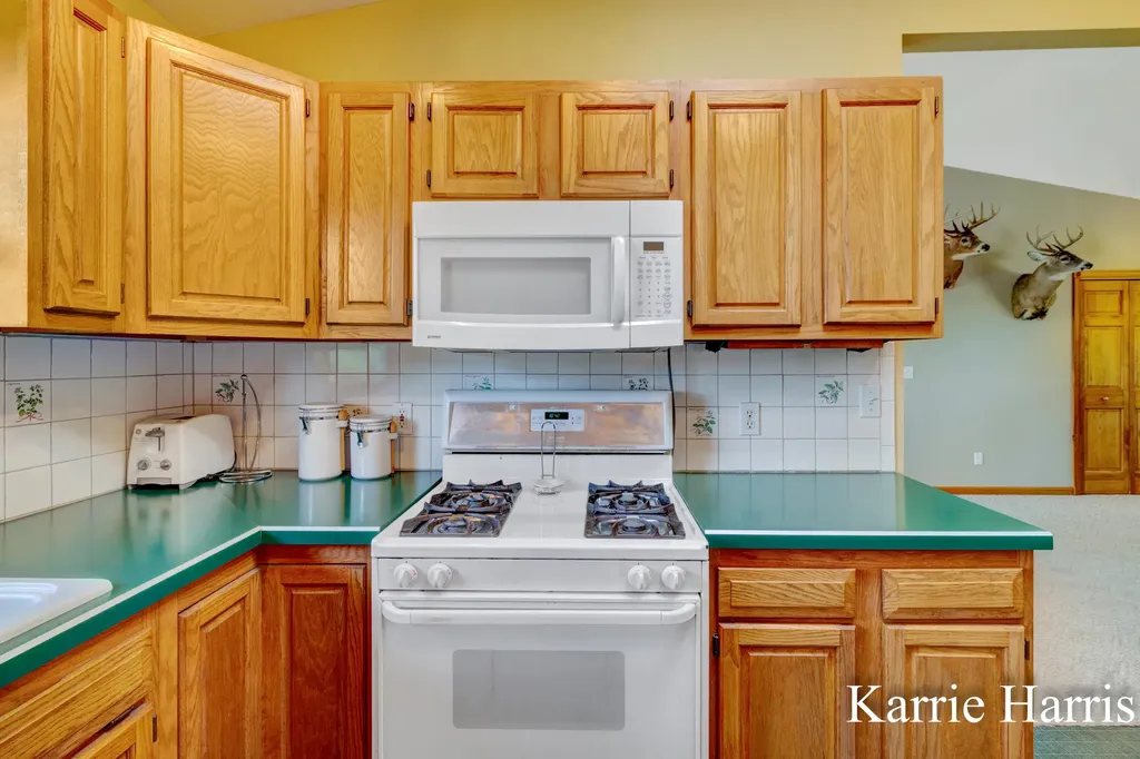 6048 S Cedar Lake Road SE Bushnell Township MI 48884