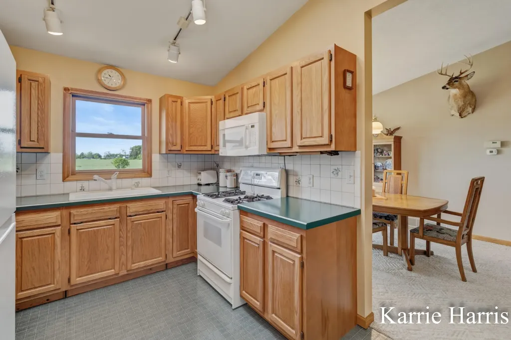 6048 S Cedar Lake Road SE Bushnell Township MI 48884