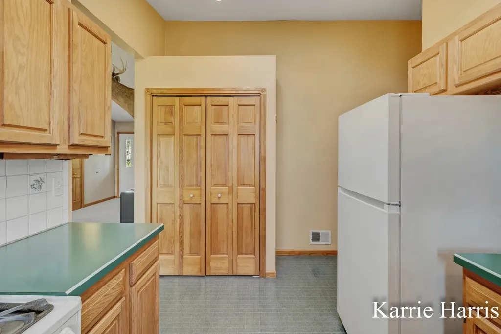 6048 S Cedar Lake Road SE Bushnell Township MI 48884