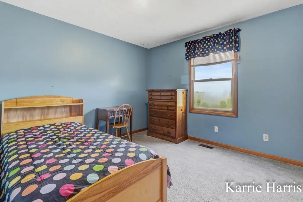 6048 S Cedar Lake Road SE Bushnell Township MI 48884