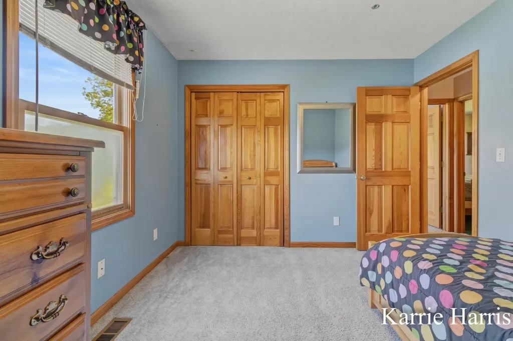 6048 S Cedar Lake Road SE Bushnell Township MI 48884