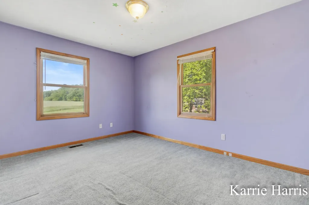 6048 S Cedar Lake Road SE Bushnell Township MI 48884