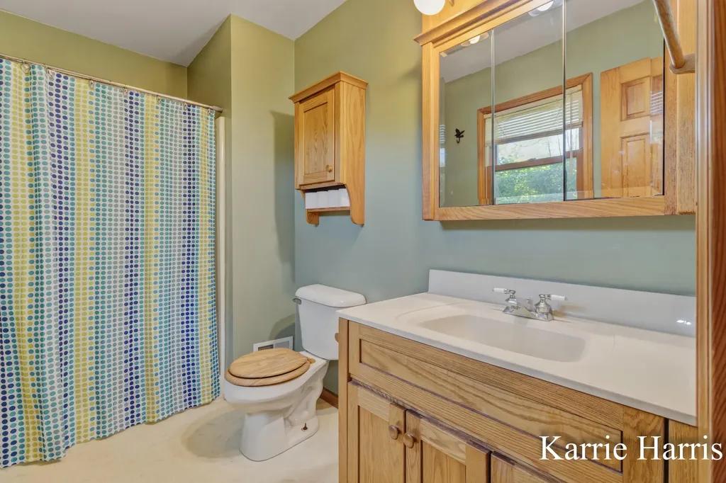 6048 S Cedar Lake Road SE Bushnell Township MI 48884