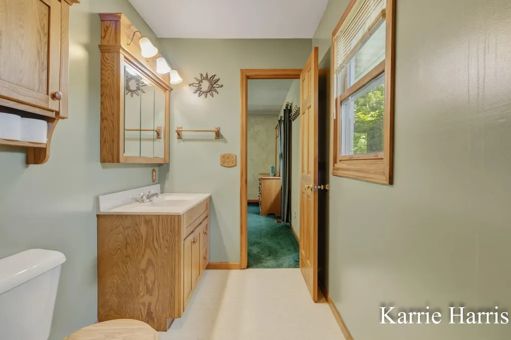 6048 S Cedar Lake Road SE Bushnell Township MI 48884