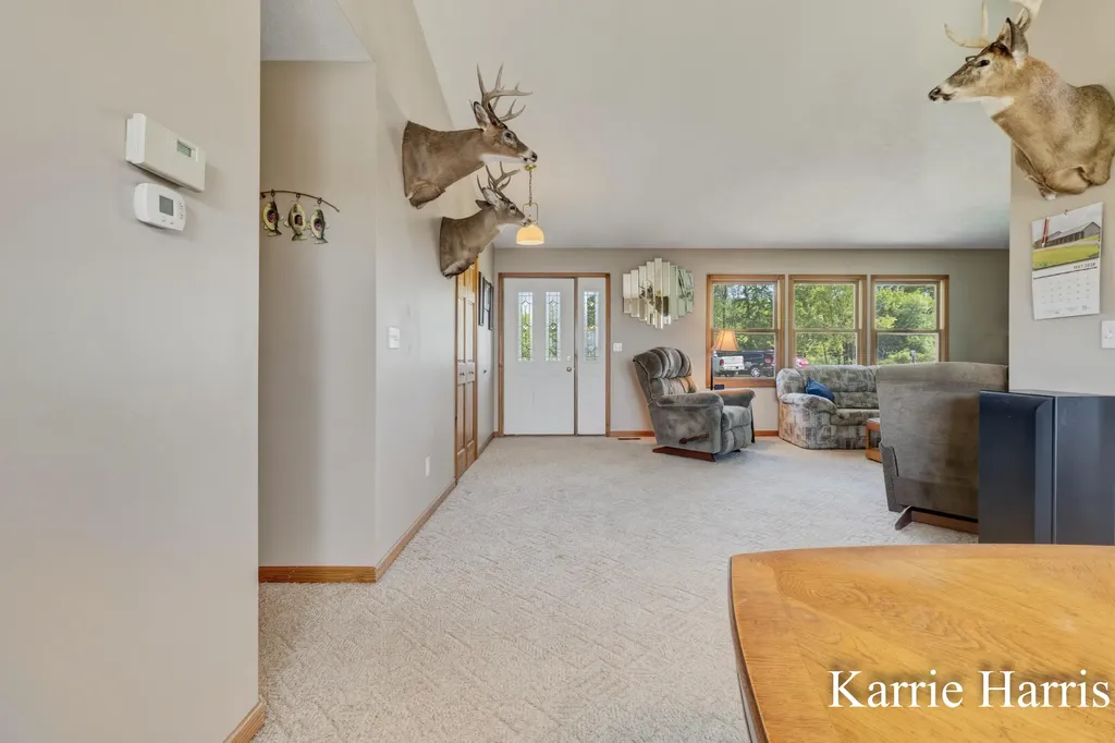 6048 S Cedar Lake Road SE Bushnell Township MI 48884