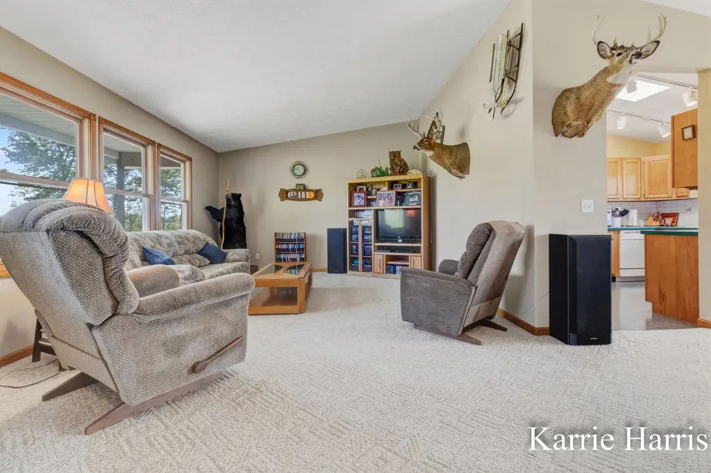 6048 S Cedar Lake Road SE Bushnell Township MI 48884