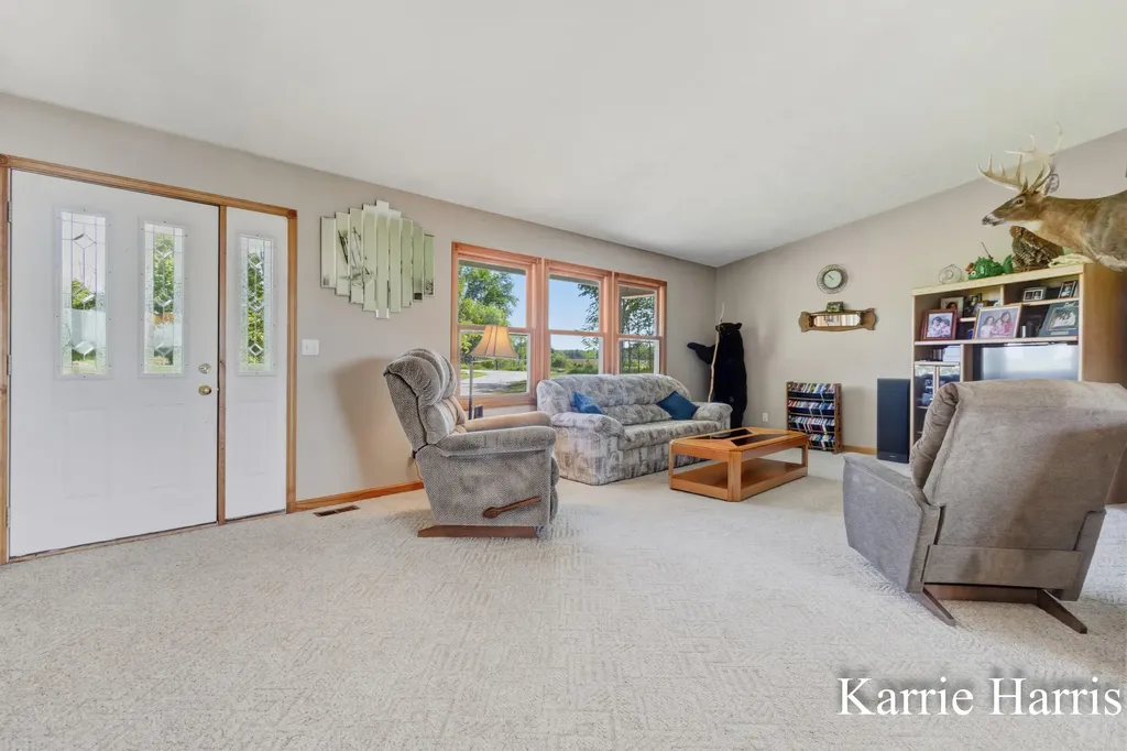 6048 S Cedar Lake Road SE Bushnell Township MI 48884