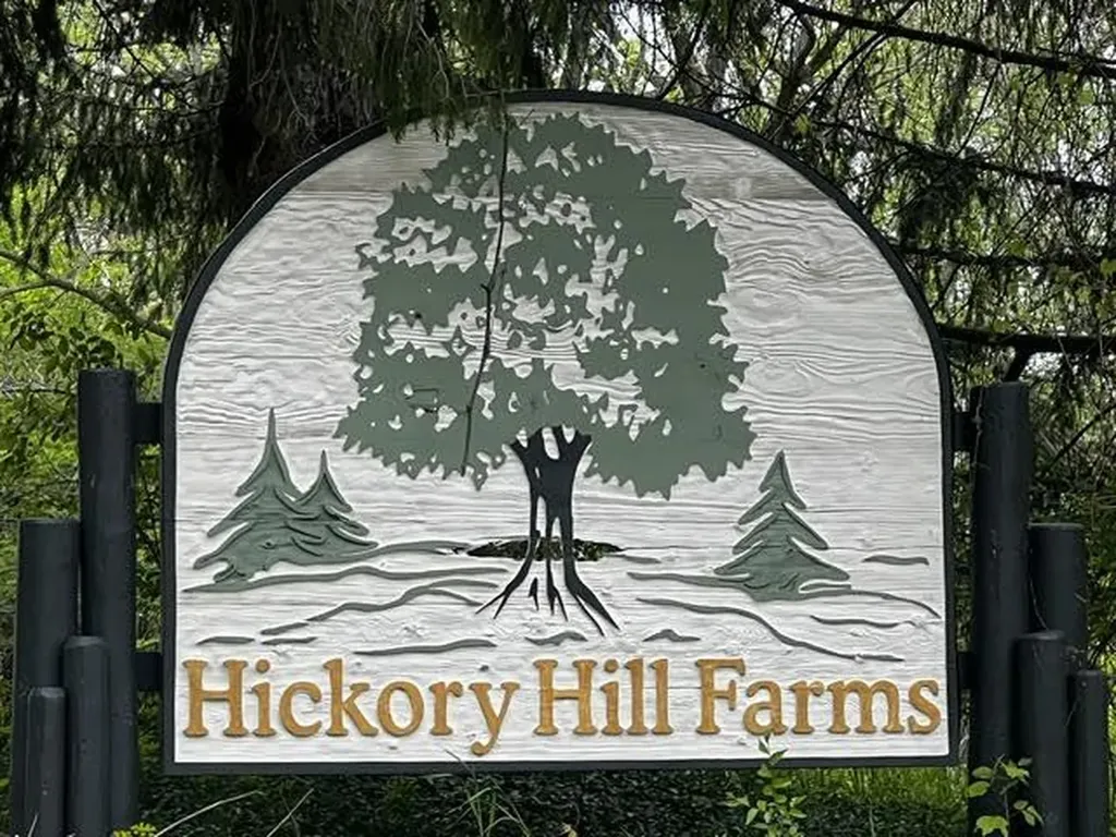 4051 Hickory Hill Lane Baltimore Township MI 49058