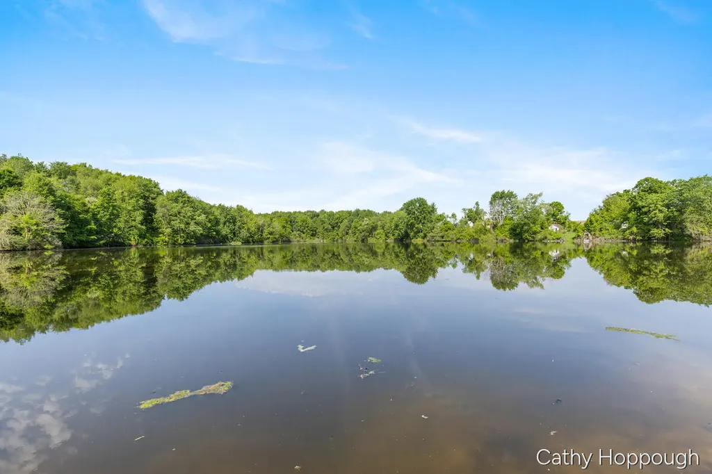 7192 Morrison Lake Road Boston Township MI 48881