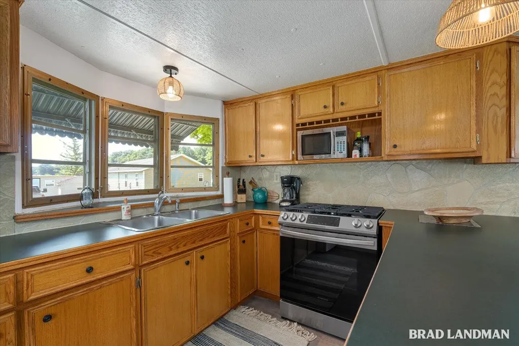 1499 Big Lake Drive Watson Township MI 49328