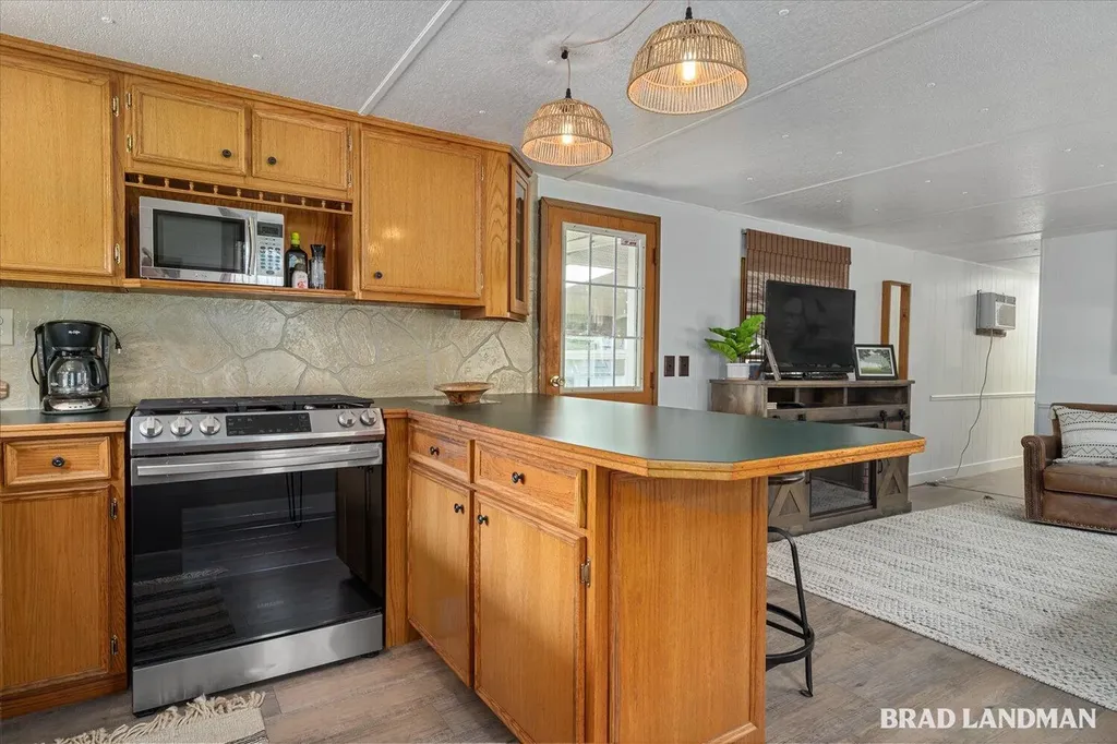 1499 Big Lake Drive Watson Township MI 49328