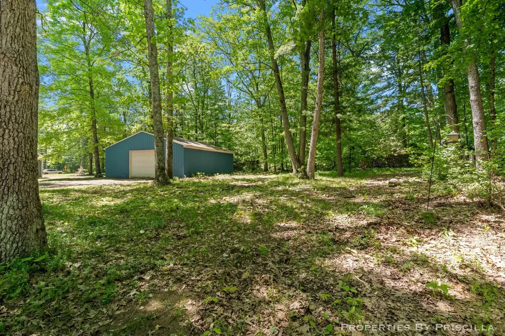 4457 S Croton Hardy Drive Big Prairie Township MI 49337