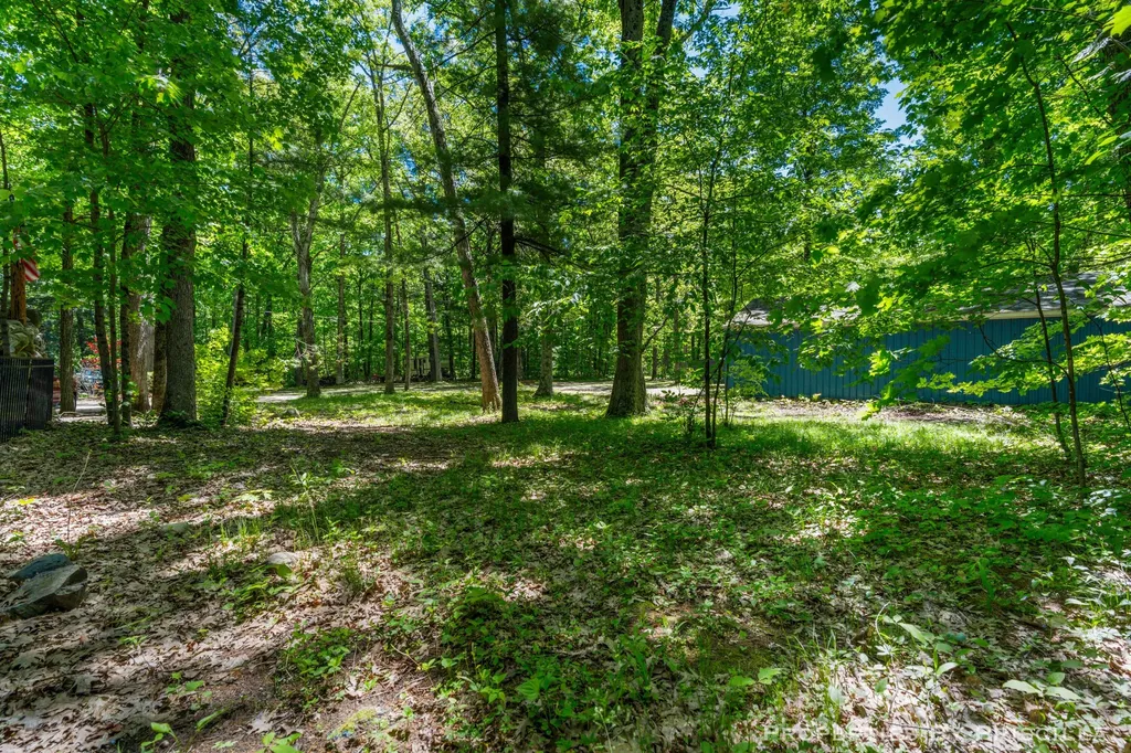 4457 S Croton Hardy Drive Big Prairie Township MI 49337