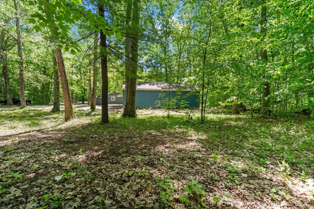 4457 S Croton Hardy Drive Big Prairie Township MI 49337