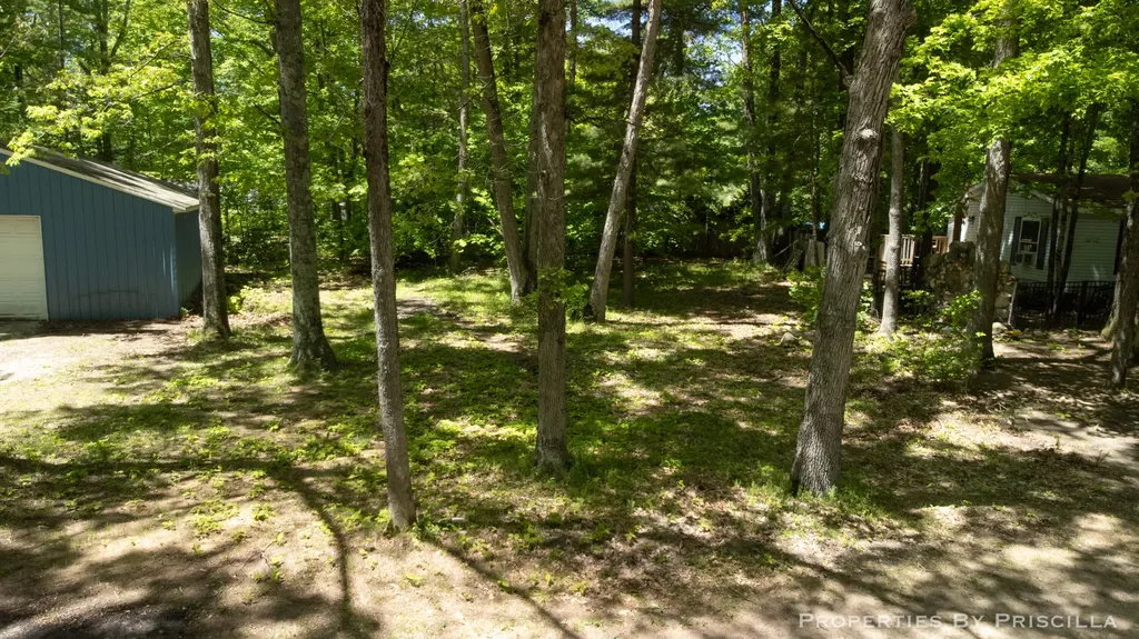 4457 S Croton Hardy Drive Big Prairie Township MI 49337