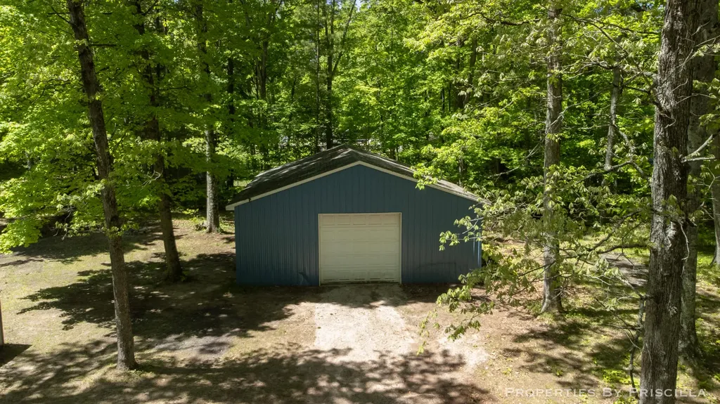 4457 S Croton Hardy Drive Big Prairie Township MI 49337
