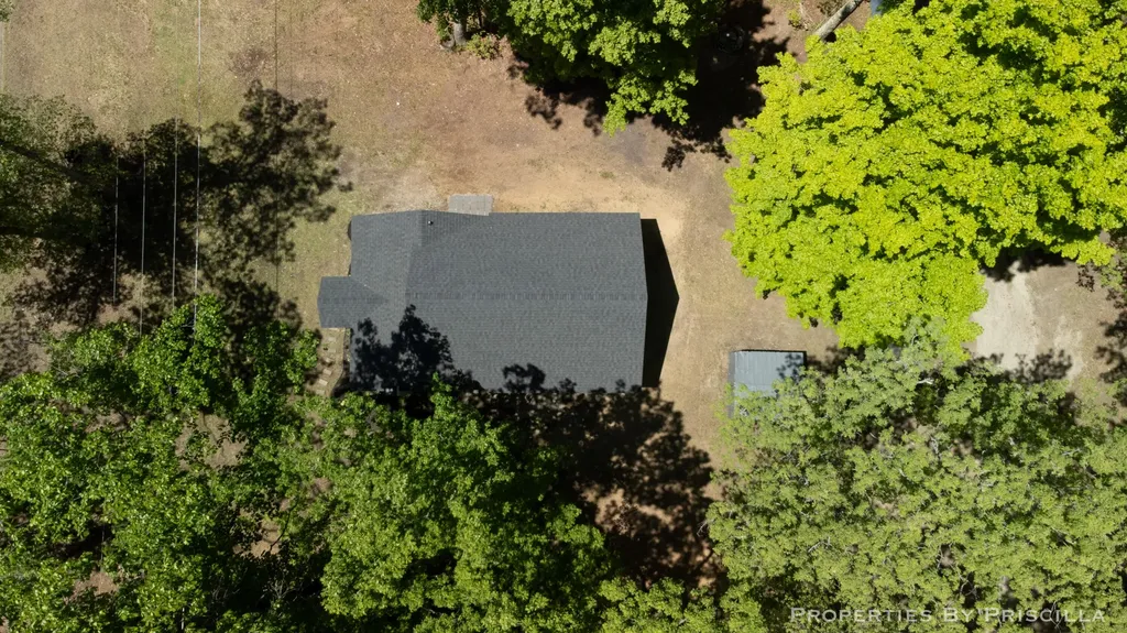 4457 S Croton Hardy Drive Big Prairie Township MI 49337