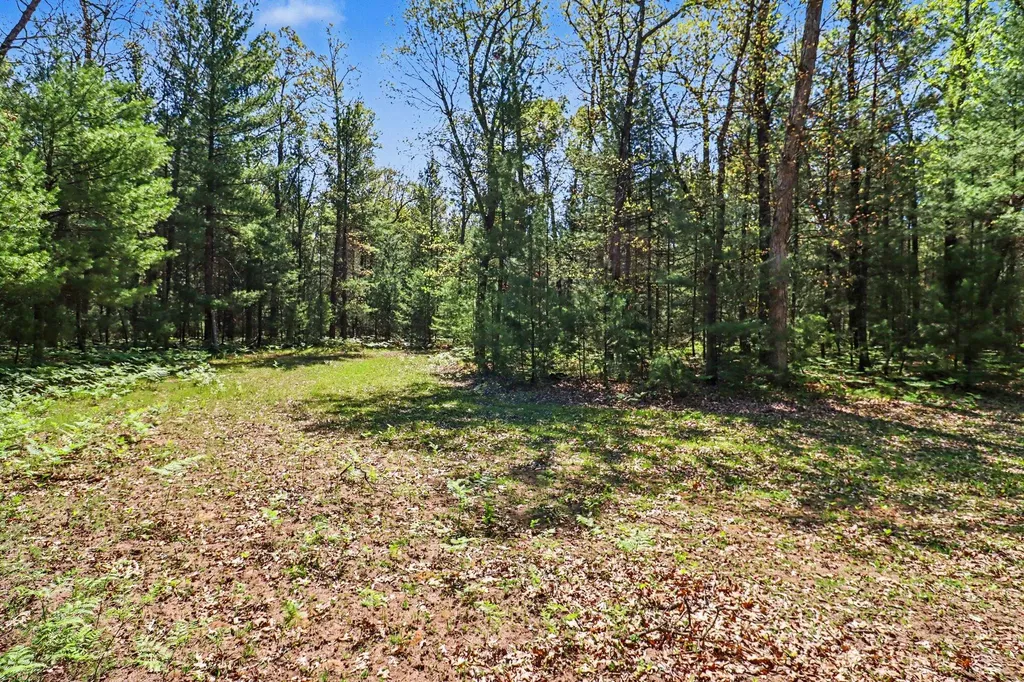 7766 E Bradshaw Branch Township MI 49402