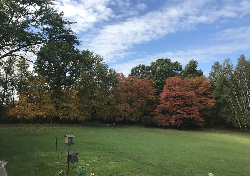 7208 W Dickerson Lake Road Pine Township MI 48838