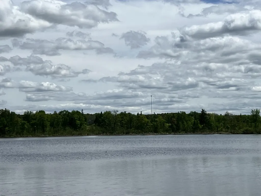 10020 N Musson Road Belvidere Township MI 48886