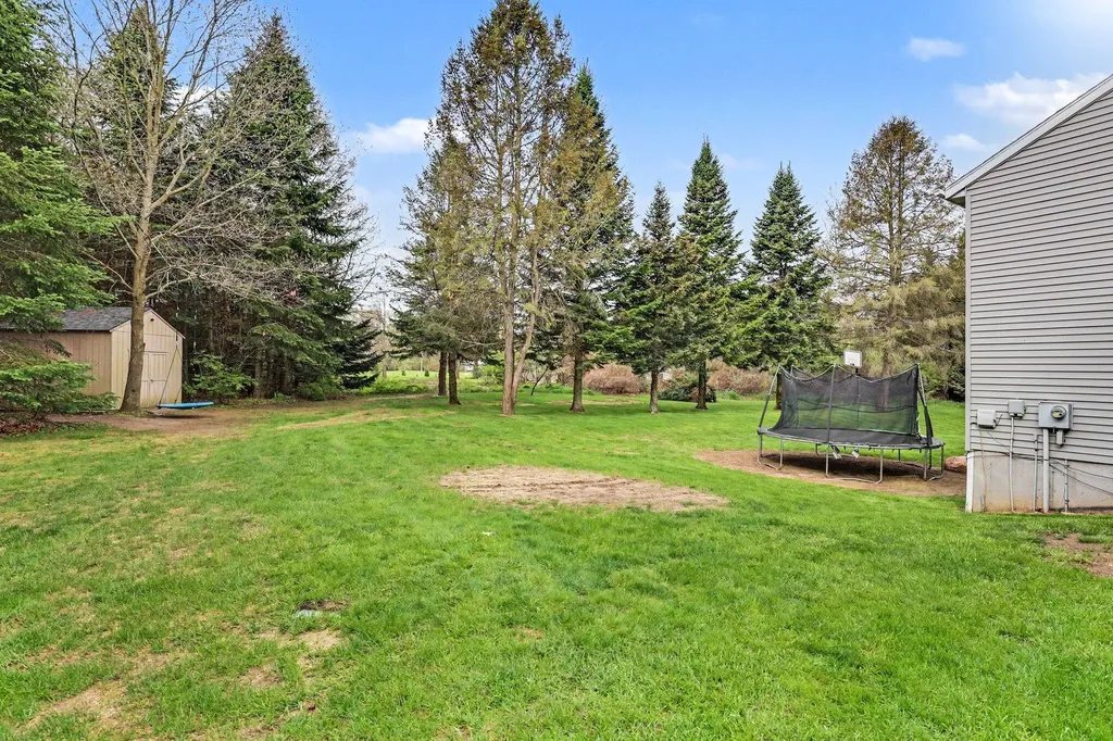 11660 Maggie Court NE Oakfield Township MI 49341