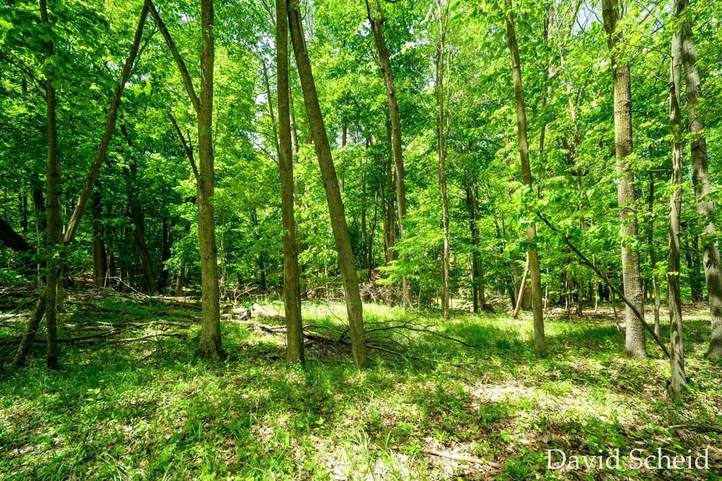 10225 River Shore Drive Caledonia Township MI 49316