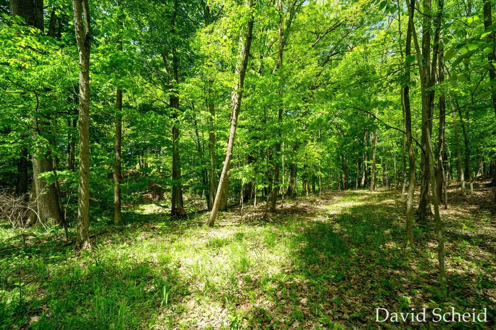 10225 River Shore Drive Caledonia Township MI 49316