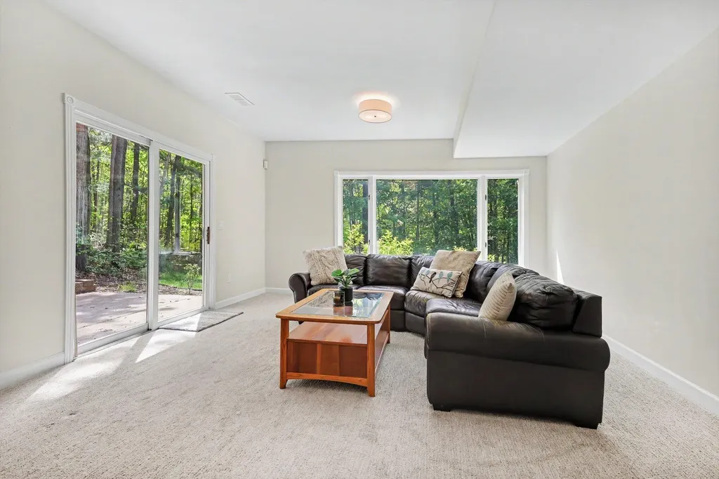 5224 Bonasa Drive NE Courtland Township MI 49341