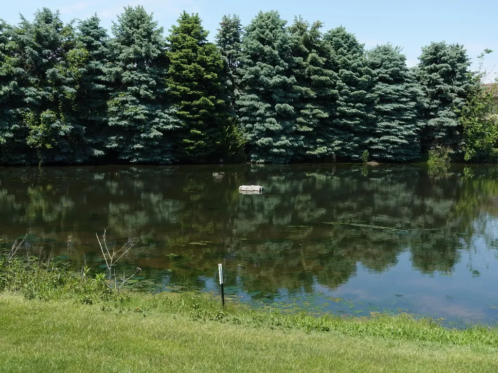 2931 Porter Court SW Grandville City MI 49418