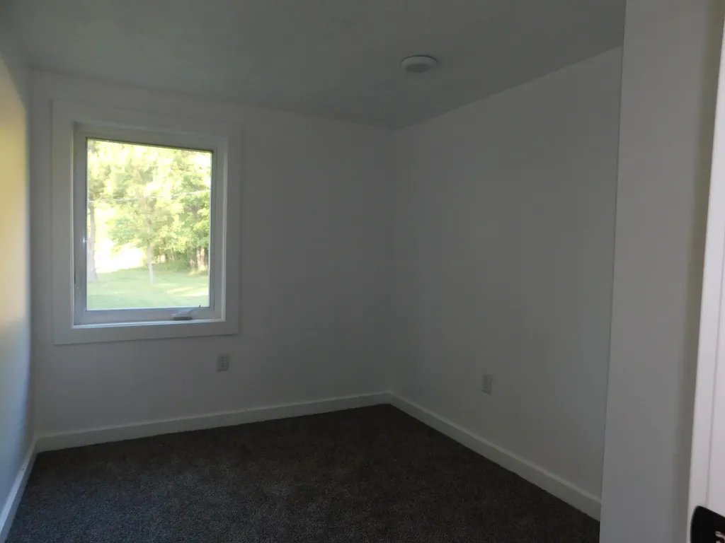 10485 Bagley Avenue Ashland Township MI 49327