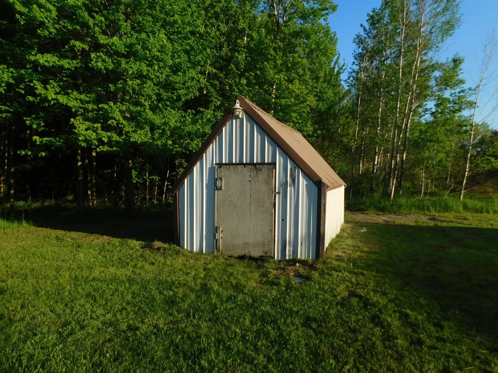 10485 Bagley Avenue Ashland Township MI 49327