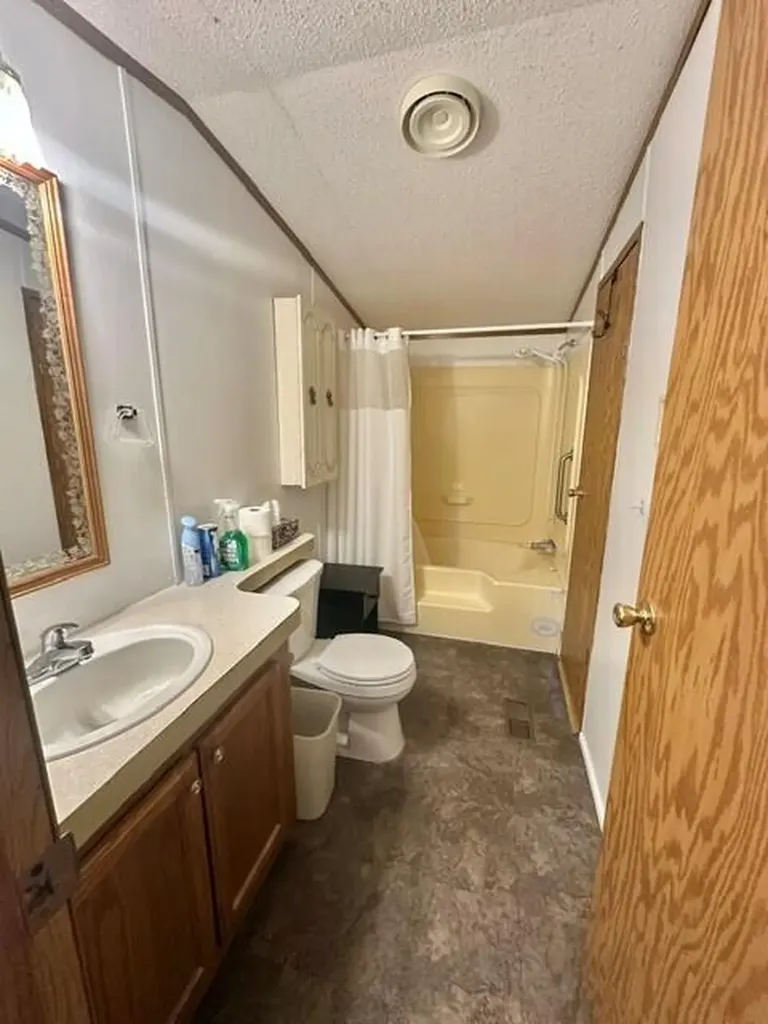 411 Woodview Drive Montcalm Township MI 48838