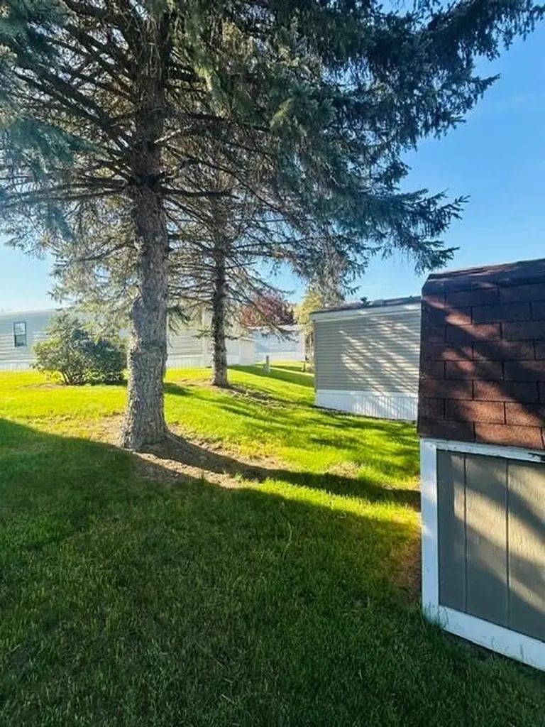 411 Woodview Drive Montcalm Township MI 48838