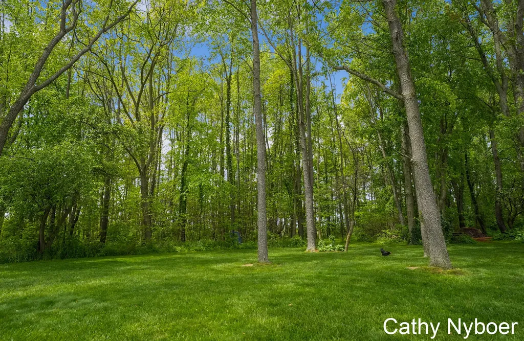 9188 W V Avenue Prairie Ronde Township MI 49087