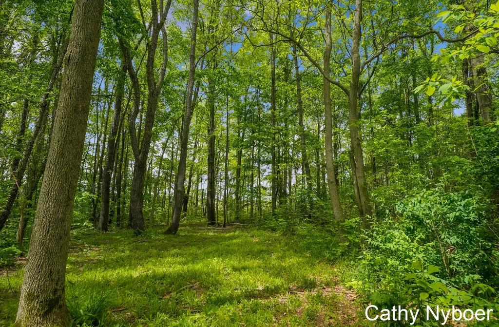 9188 W V Avenue Prairie Ronde Township MI 49087