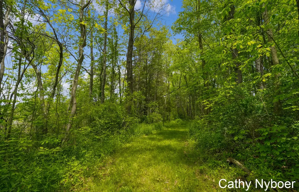 9188 W V Avenue Prairie Ronde Township MI 49087