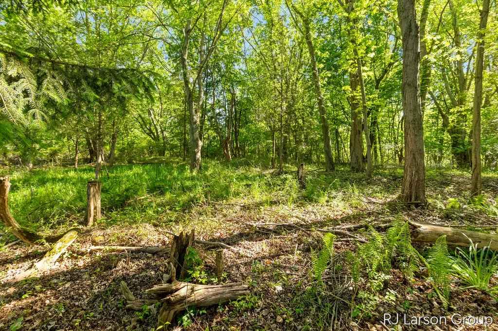 1027 Blue Star Highway Casco Township MI 49090
