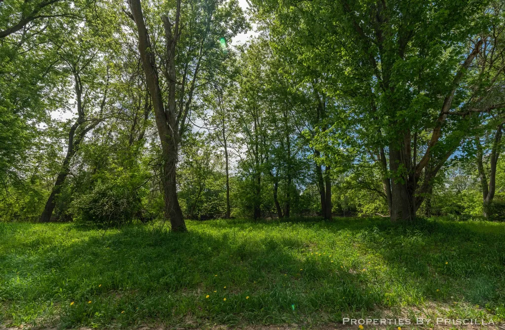7251 Midland Road Tittabawassee Township MI 48623