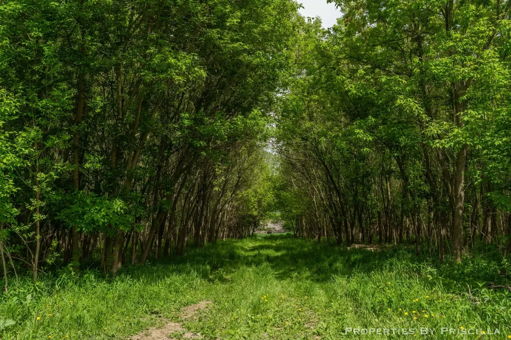 7251 Midland Road Tittabawassee Township MI 48623